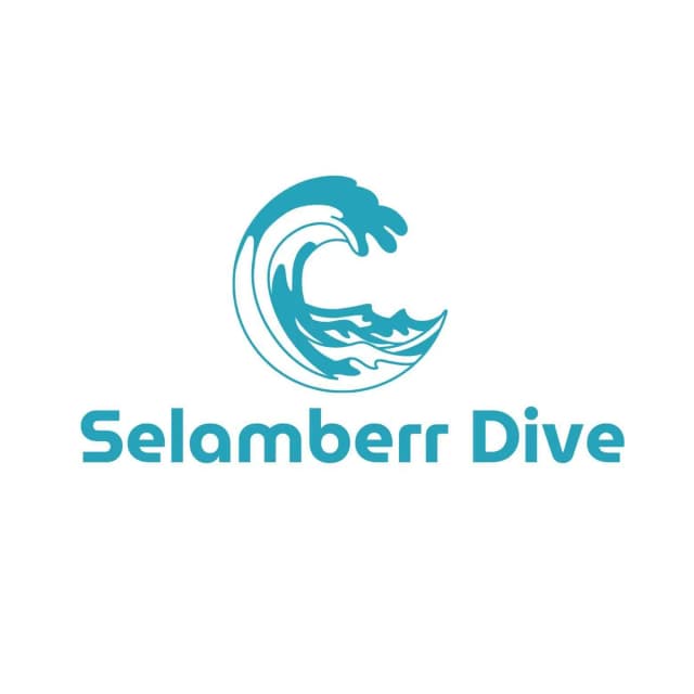 Selamberr Dive Training Pool logo