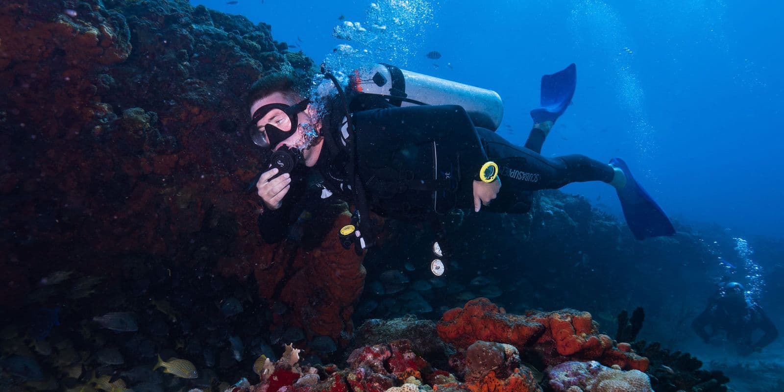 Gear Review: Is a 3mm Wetsuit Enough for Malaysian Waters?